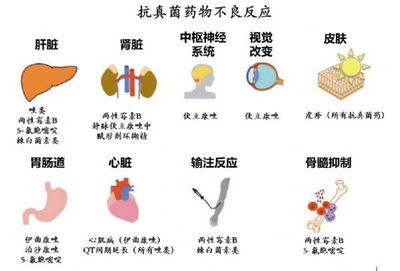 抗真菌藥物副作用及處理：抗真菌藥物副作用 其他寵物 第3張