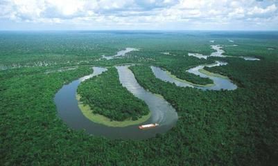 亞馬遜河生物多樣性保護(hù)策略：亞馬遜河生物多樣性保護(hù) 其他寵物 第2張