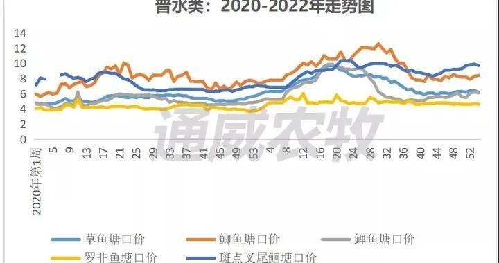 全球魚價上漲背后的驅(qū)動因素是什么？：全球魚價上漲是多種因素交織的結(jié)果 其他寵物 第4張