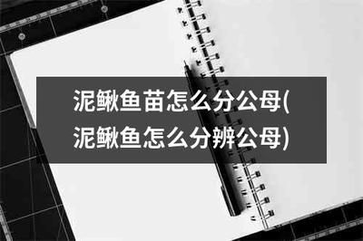 鑒別魚苗性別的最佳時(shí)機(jī)：如何鑒別魚苗性別 其他寵物 第1張