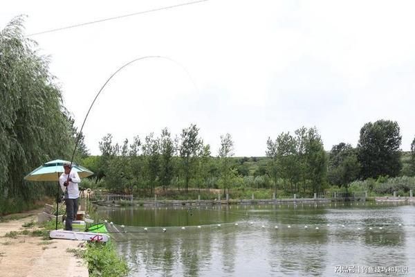 魚飼料浮力測(cè)試的具體操作：進(jìn)行魚飼料浮力測(cè)試的基本方法 其他寵物 第1張