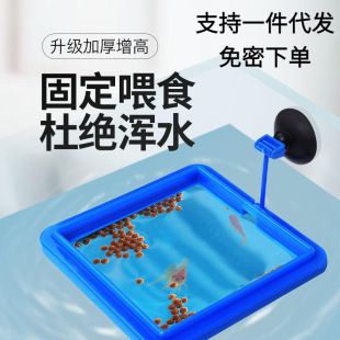 魚飼料浮力測(cè)試的具體操作：進(jìn)行魚飼料浮力測(cè)試的基本方法 其他寵物 第5張