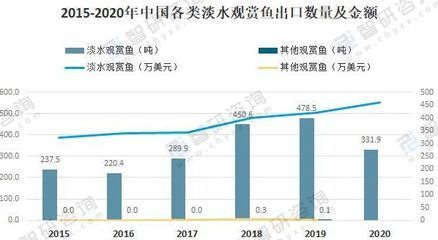 黑影道人魚夜行習(xí)性探究：黑影道人魚夜視能力研究 其他寵物 第3張