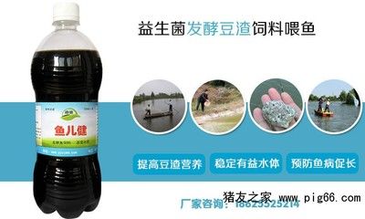 魚飼料碳水化合物選擇標準：提高魚飼料碳水化合物消化率方法，魚飼料碳水化合物來源及選擇 其他寵物 第3張