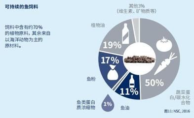 魚飼料碳水化合物選擇標準：提高魚飼料碳水化合物消化率方法，魚飼料碳水化合物來源及選擇 其他寵物 第4張