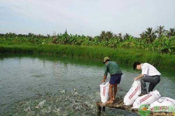 黑云魚繁殖常見疾病預(yù)防：黑云魚繁殖中常見的疾病預(yù)防措施,黑云魚繁殖期水質(zhì)管理技巧 其他寵物 第5張