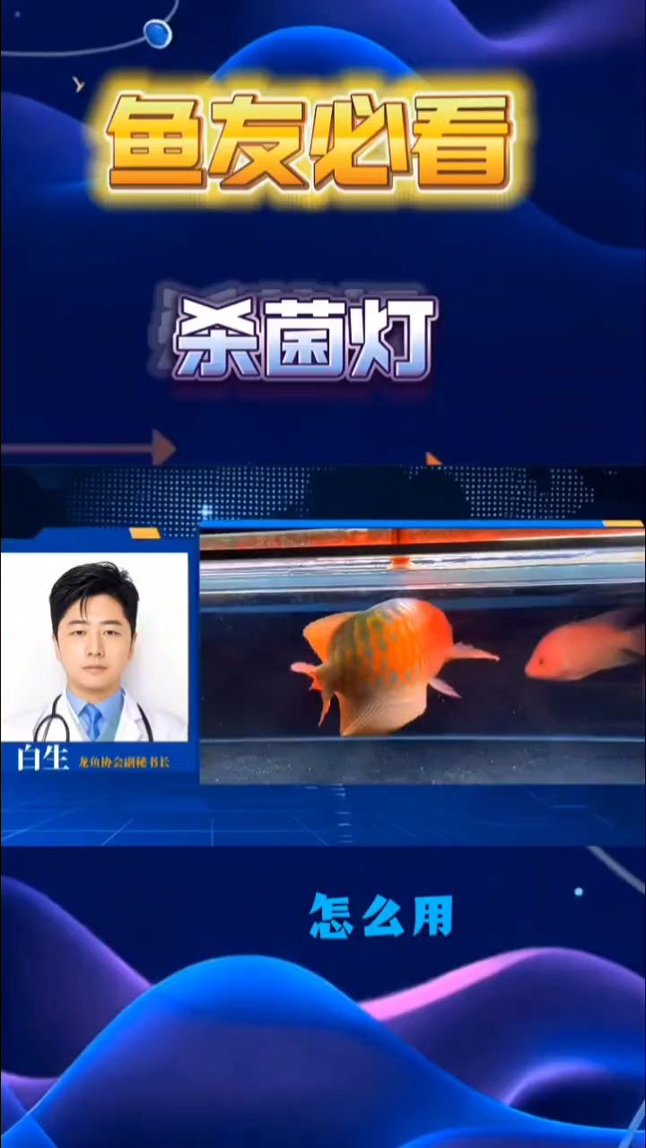 龍魚缸需要?dú)⒕鸁魡幔糊堲~缸需要?dú)⒕鸁魡?小伙不帥_人見人愛 觀賞魚論壇