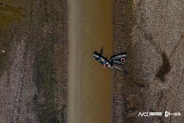 亞馬遜河魚類遷徙對生態(tài)影響：亞馬遜河魚類遷徙對當?shù)厣鷳B(tài)系統(tǒng)具有重要影響 其他寵物 第4張