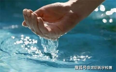 水族箱水質(zhì)檢測頻率設(shè)定：如何選擇水族箱水質(zhì)檢測工具 其他寵物 第1張