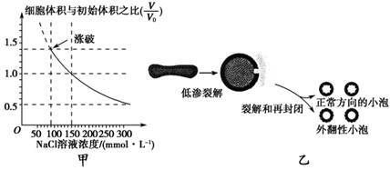 生物膜形成過程解析：生物膜的形成過程 其他寵物 第3張