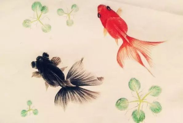 金三間魚健康狀態(tài)檢查：金三間魚健康狀況的檢查 其他寵物 第2張