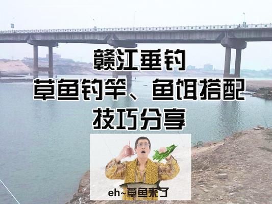 魚苗餌料選擇與搭配技巧：不同季節(jié)魚苗餌料選擇，魚苗餌料搭配實(shí)戰(zhàn)技巧 其他寵物 第4張