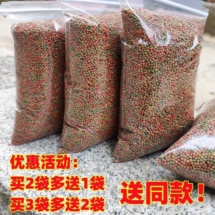 如何自制大正錦鯉魚飼料：如何自制大正錦鯉魚飼料，自制大正錦鯉魚飼料添加劑效果對比 其他寵物 第5張