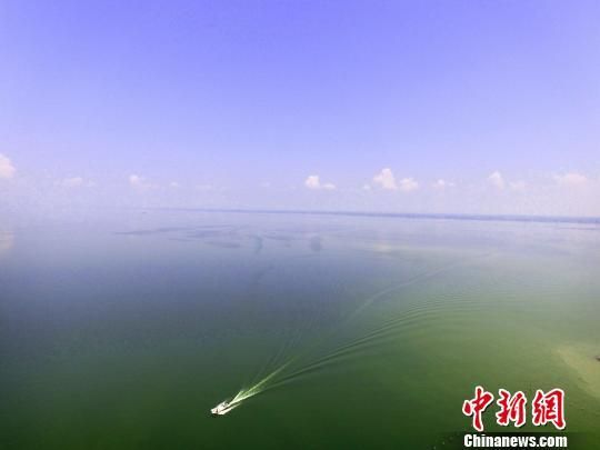 龍魚夏天水溫多少合適養(yǎng)：夏季龍魚理想水溫通常維持在24至30攝氏度之間 水族問答 第2張