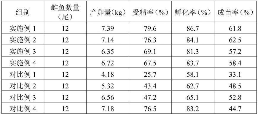 銀鼓魚苗養(yǎng)殖密度建議：銀鼓魚苗養(yǎng)殖密度建議以供參考銀鼓魚和紅龍魚的養(yǎng)殖密度 其他寵物 第1張