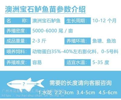 福滿鉆魚不同生長期飼料選擇：福滿鉆魚在不同生長期的飼料選擇是確保魚的健康成長的關鍵