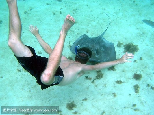 三間魚呼吸急促急救措施：三間魚呼吸急促可能是由多種原因引起的，養(yǎng)魚人士要注意