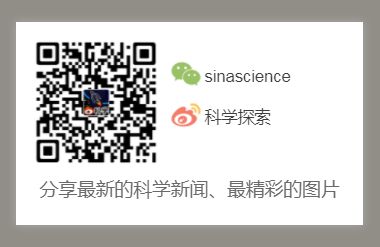 象鼻魚繁殖光照需求研究：象鼻魚繁殖最佳光照時(shí)間 其他寵物 第5張