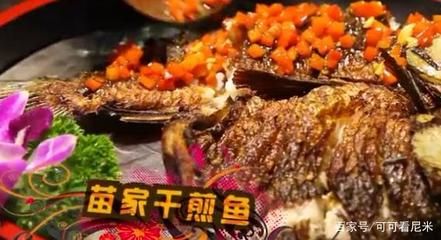 紅頭利魚日常飲食搭配：紅頭利魚日常飲食搭配，紅頭立魚 其他寵物 第3張