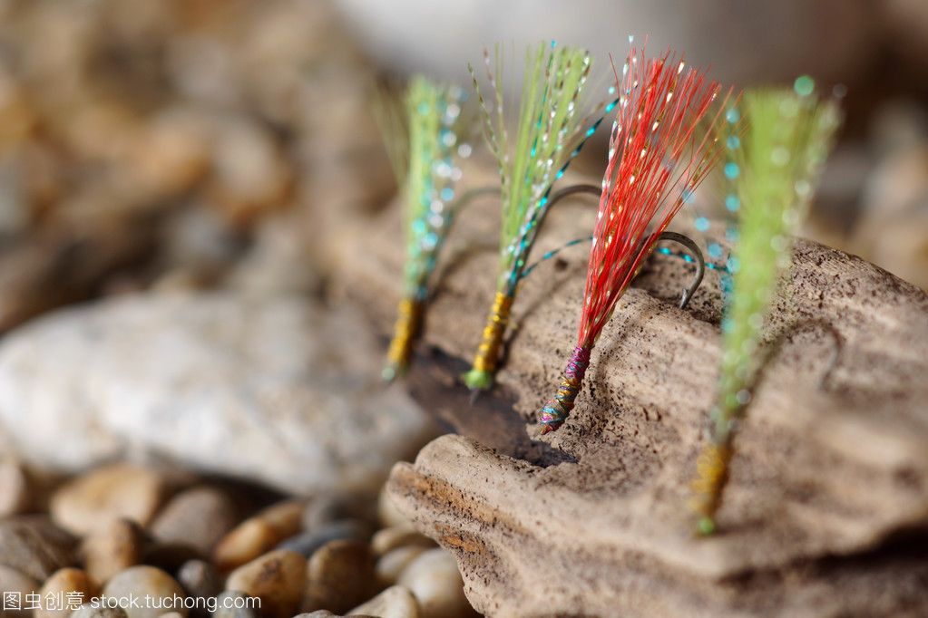 羽毛刀魚苗天然餌料選擇：羽毛刀魚苗天然餌料的選擇 其他寵物 第2張