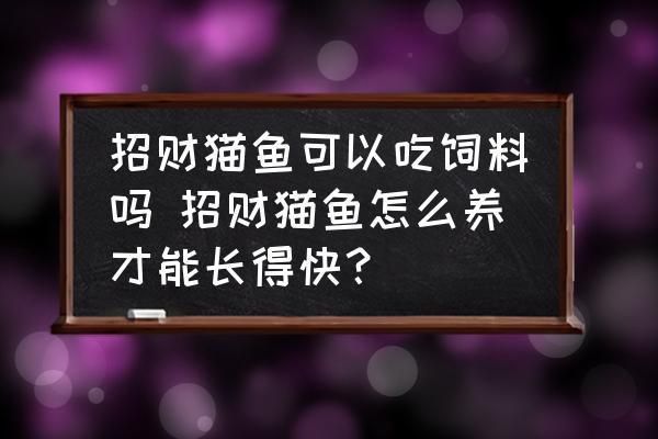 招財貓魚苗最佳喂養(yǎng)頻率：招財貓魚苗最佳喂養(yǎng)頻率是多少 其他寵物 第1張