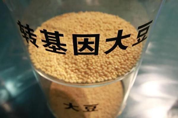 食用油中轉(zhuǎn)基因標(biāo)識(shí)解讀：轉(zhuǎn)基因食用油標(biāo)識(shí)的解讀 其他寵物 第3張