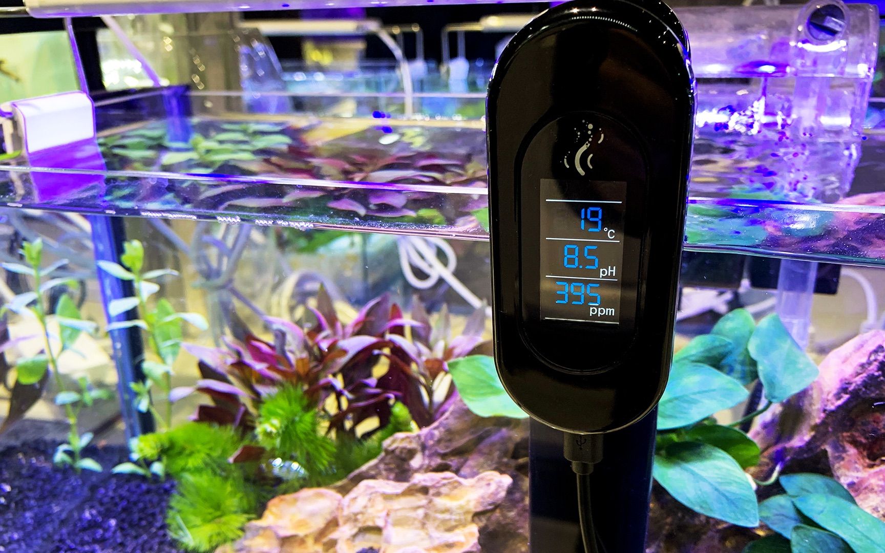 水族箱水質(zhì)測試工具推薦：姜堰水族箱水質(zhì)測試工具推薦水族箱水質(zhì)測試工具 其他寵物 第3張