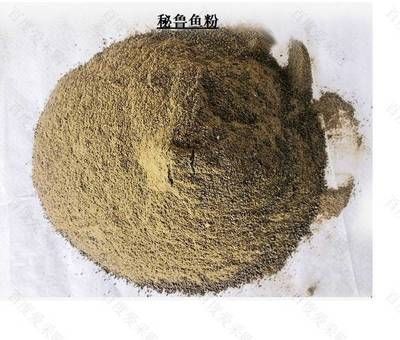 大日玉鯖魚繁殖期飼料保存技巧：大日玉鯖魚繁殖期的飼料保存技巧 其他寵物 第3張