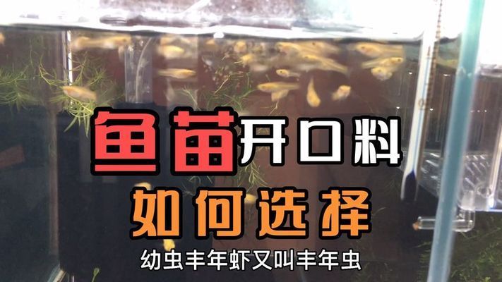 招財(cái)貓魚苗飼料與活餌搭配比例：招財(cái)貓魚苗的飼料與活餌搭配比例并沒有一個固定標(biāo)準(zhǔn) 其他寵物 第5張