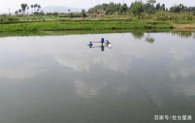 如何選擇安全的養(yǎng)魚水源：養(yǎng)魚水源選擇安全的養(yǎng)魚水源的重要性，養(yǎng)魚水源的選擇 其他寵物 第4張