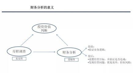 蘇虎投資企業(yè)資金鏈斷裂案例分析：“蘇虎投資”企業(yè)資金鏈斷裂案例分析思路及框架 其他寵物 第3張