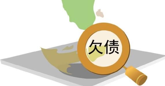 蘇虎投資企業(yè)資金鏈斷裂案例分析：“蘇虎投資”企業(yè)資金鏈斷裂案例分析思路及框架 其他寵物 第2張