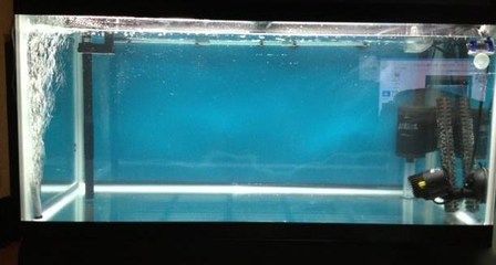 水族箱硝化細(xì)菌培養(yǎng)技巧：水族箱ph值調(diào)節(jié)方法，老水濾材使用注意事項(xiàng) 其他寵物 第5張