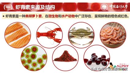 天然蝦青素對(duì)魚健康的益處：天然蝦青素對(duì)魚健康有什么益處？ 其他寵物 第4張