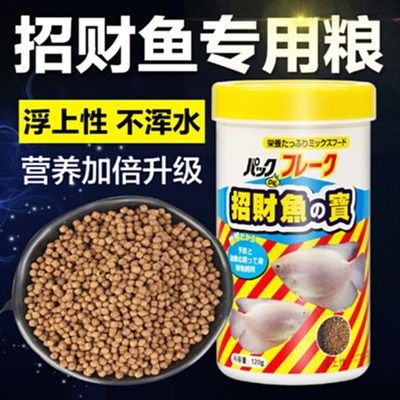 招財戰(zhàn)船魚適宜的飼料類型：招財戰(zhàn)船魚適宜的飼料類型包括動物性飼料類型的詳細(xì)信息 其他寵物 第1張