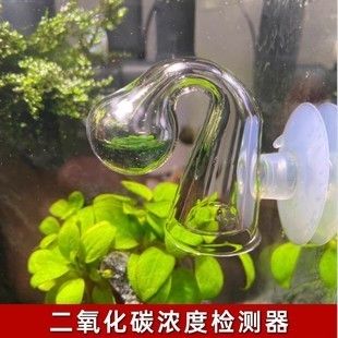 如何檢測水族箱中二氧化碳含量：水族箱中二氧化碳含量的檢測方法