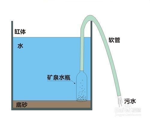 冬季金魚(yú)水溫管理技巧：冬季金魚(yú)水溫管理 其他寵物 第5張