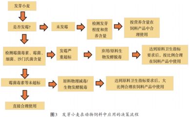 飼料霉菌毒素脫毒技術(shù)比較：飼料霉菌毒素脫毒技術(shù)發(fā)展趨勢 其他寵物 第4張