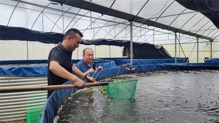 鯊魚養(yǎng)殖水質控制技巧：鯊魚養(yǎng)殖水質控制技術