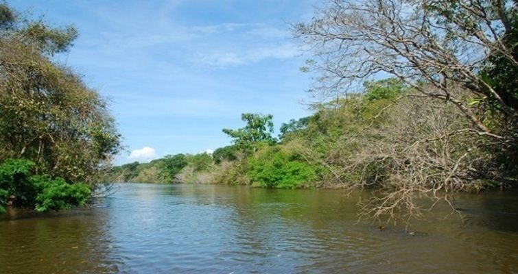 亞馬遜河濕地保護(hù)措施：亞馬遜河流域跨國(guó)保護(hù)