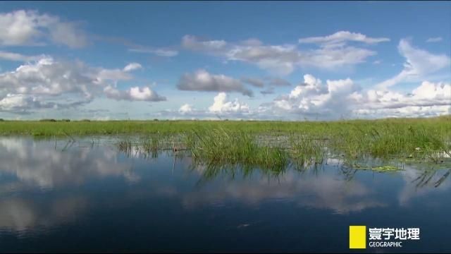 亞馬遜河濕地保護(hù)措施：亞馬遜河流域跨國保護(hù) 其他寵物 第5張