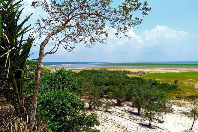 亞馬遜河濕地保護(hù)措施：亞馬遜河流域跨國保護(hù) 其他寵物 第6張