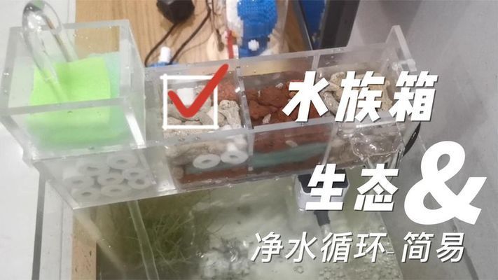 水族箱水質(zhì)改善方案：水族箱水質(zhì)改善方案：水族箱水質(zhì)管理是確保水生生物健康和生態(tài)平衡的關(guān)鍵環(huán)節(jié)