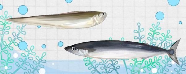 龍魚(yú)眼珠白了怎么回事：為什么龍魚(yú)的眼珠會(huì)變白？ 水族問(wèn)答 第1張