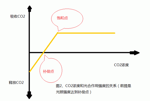 不同色溫對水草生長的作用：不同色溫的光源對水草生長有著不同的影響，水族箱照明選擇指南 其他寵物 第1張