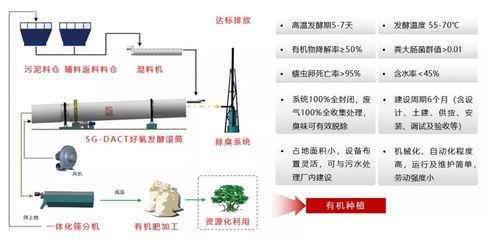 微生物氧氣脅迫反應(yīng)的應(yīng)對策略：微生物在面對氧氣脅迫時會啟動多種代謝途徑來適應(yīng)氧氣濃度 其他寵物 第3張