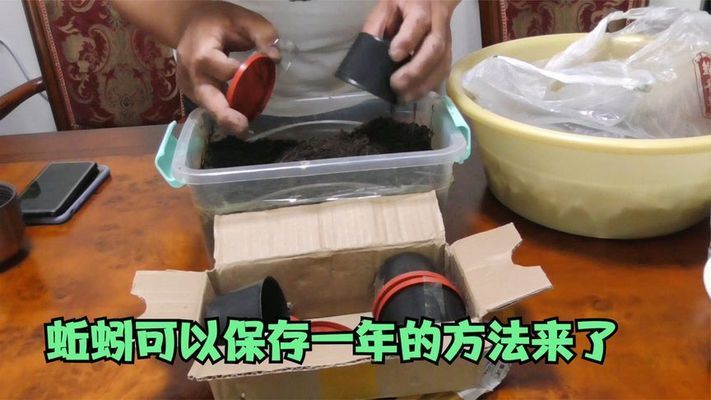 蚯蚓保存期間如何通風(fēng)：蚯蚓保存最佳濕度范圍,蚯蚓保存容器選擇指南 其他寵物 第4張