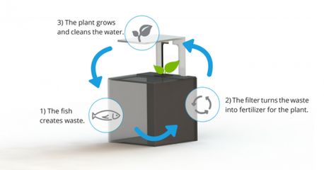 生物濾材的選購技巧：生物濾材選購技巧 其他寵物 第2張