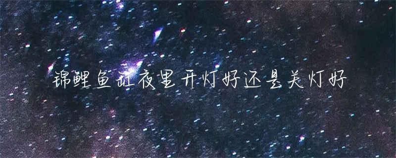 三色錦鯉夜間照明方案：三色錦鯉夜間照明實(shí)施方案，提高觀賞性并增強(qiáng)魚類生活品質(zhì) 其他寵物 第1張