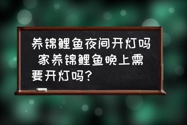 三色錦鯉夜間照明方案：三色錦鯉夜間照明實(shí)施方案，提高觀賞性并增強(qiáng)魚類生活品質(zhì) 其他寵物 第2張